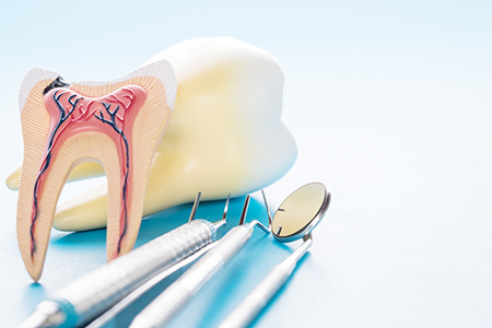 George E. Rankin, DDS   G. Edward Rankin, DMD | Teeth Whitening, Dental Bridges and TMJ Disorders